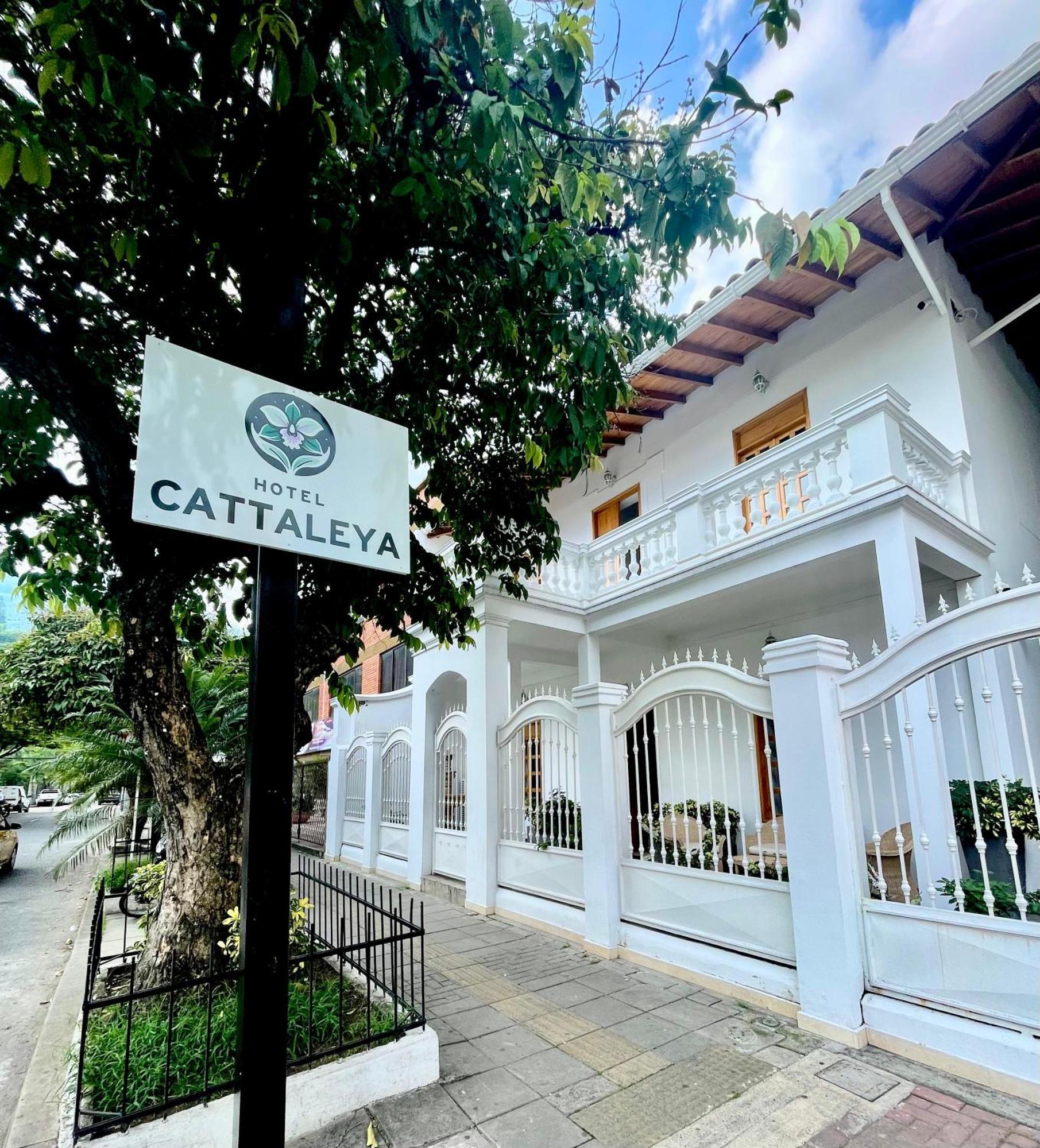 קאלי Hotel Cattaleya City מראה חיצוני תמונה